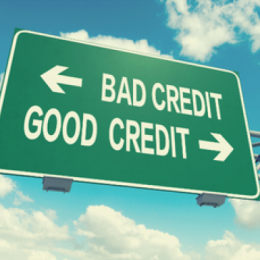 Good Credit/Bad Credit